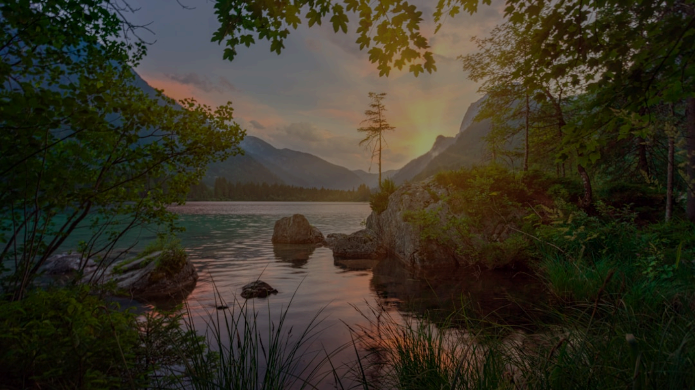 测试专用付费文章